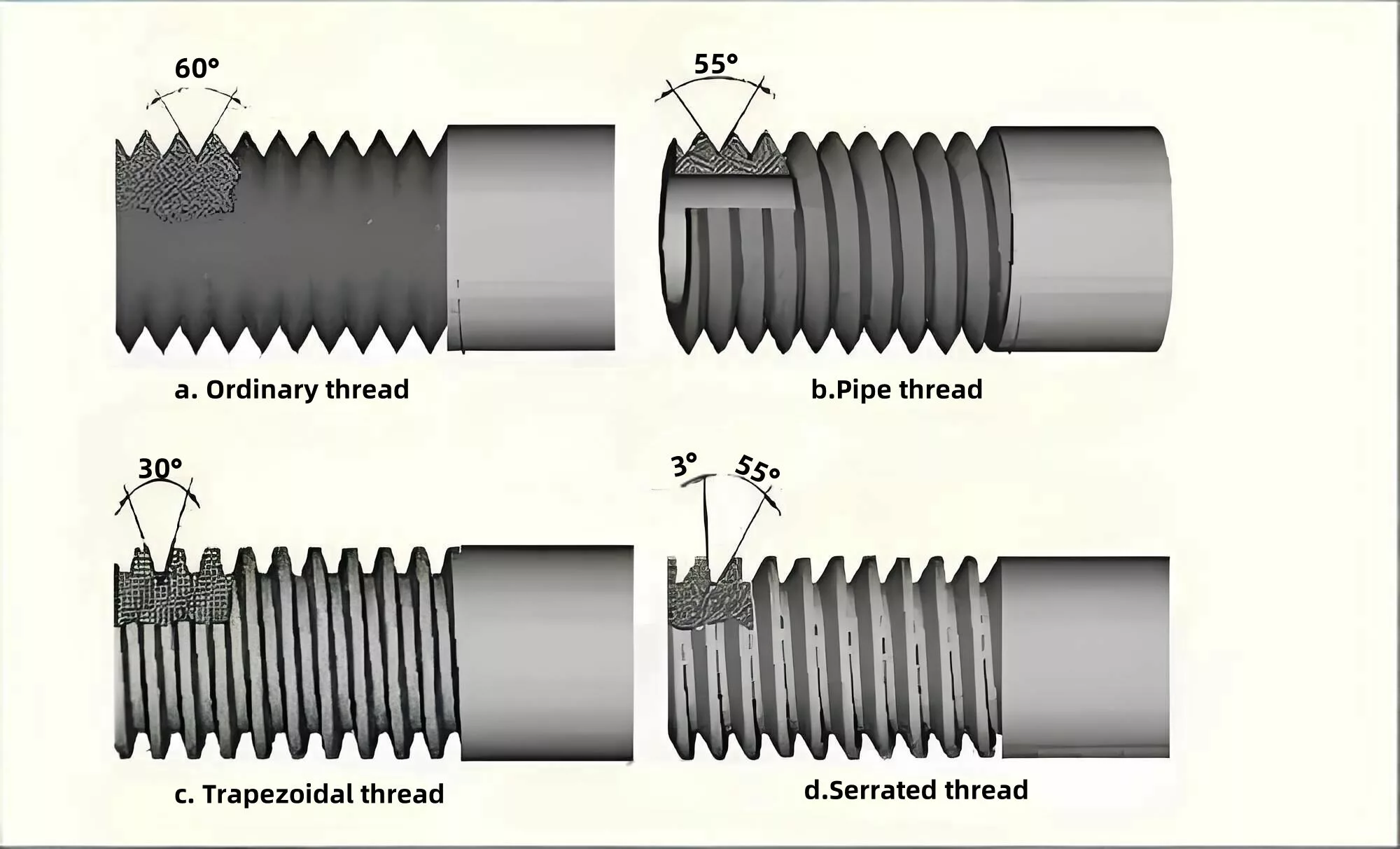 Coarse thread and fine thread-2